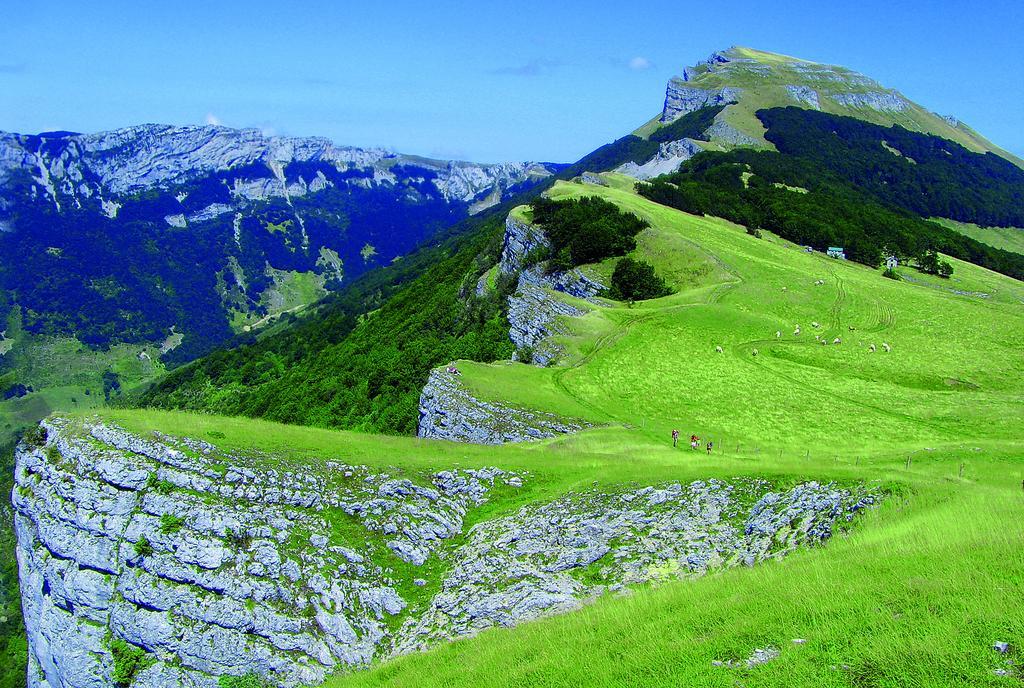 Roulottes Au Pied Du Vercors Saint-Jean-en-Royans Eksteriør billede